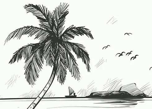 animation1